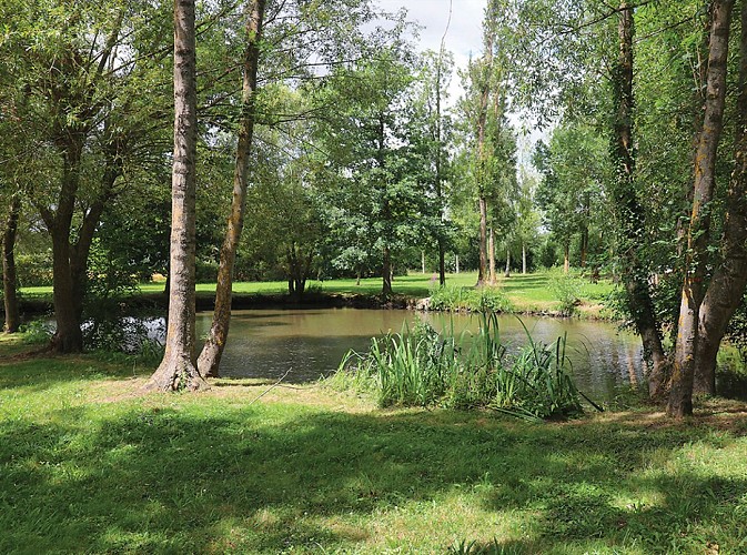Au bord du ru des Méances, randonnée pédestre à Chalmaison, proche de Provins