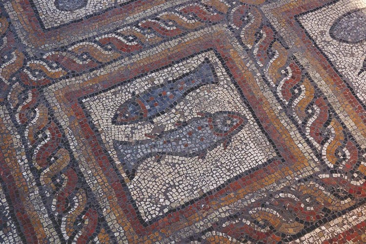 Villa_Gallo-Romaine_de_Montcaret____MC_Grasseau_-_OT_Bergerac_-_Sud_Dordogne__18_