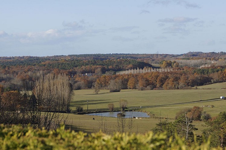 Paysages_campagne_Montpeyroux____MC_Grasseau_-_OT_Bergerac__2_