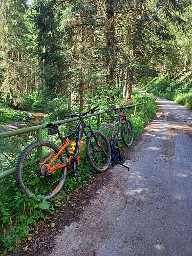VTT garés dans les bois Olivier Manche