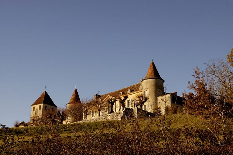 Château de Matecoulon © MC Grasseau - OT Bergerac (8)