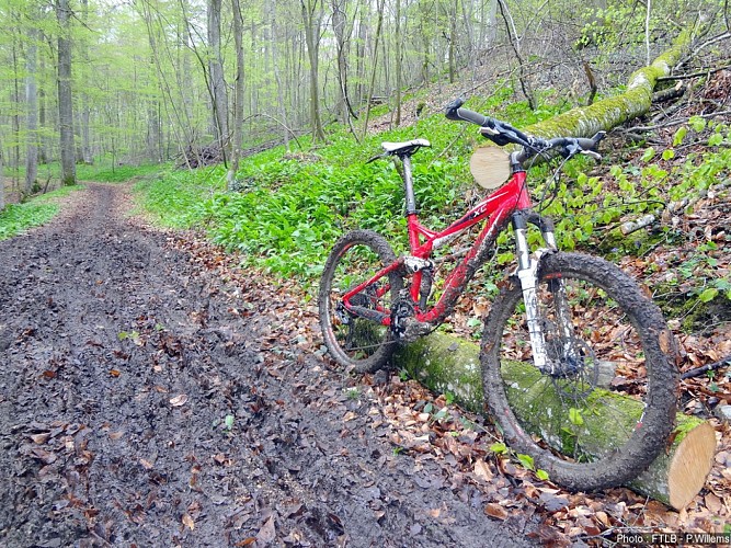 VTT Les Horizons (Erezée)