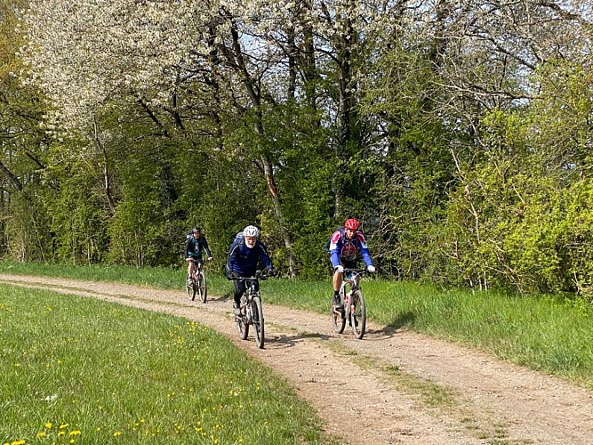 VTT 2 trio Mark Dewinter