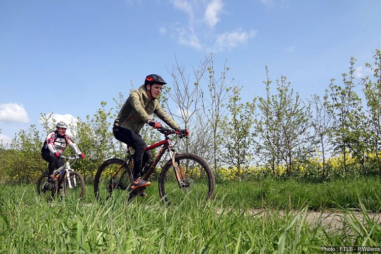 VTT La Forestière (Erezée)