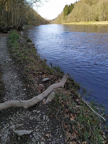 Herbeumont-2020-printemps-prom des Crêtes-(AG) (29)
