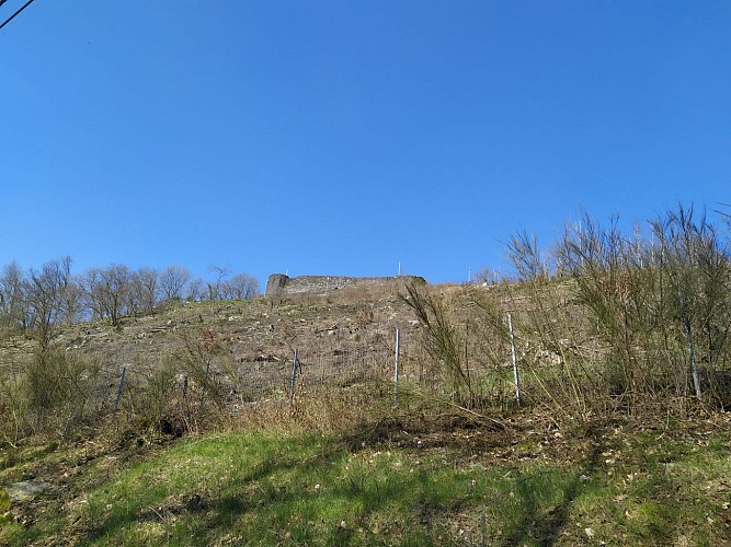 Herbeumont-2020-printemps-prom des Crêtes-(AG) (10)