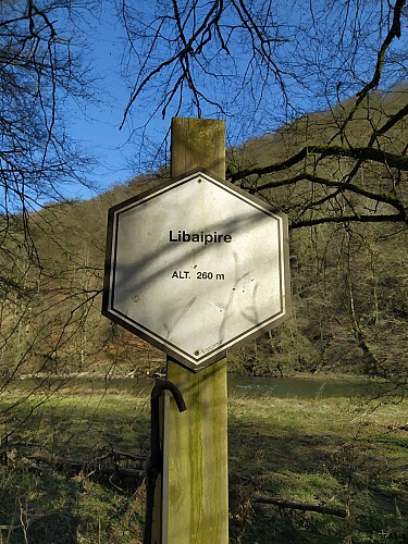 Herbeumont-2020-printemps-prom des Crêtes-(AG) (28)