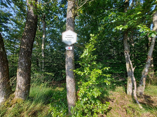 Point de vue la roche aux corbeaux