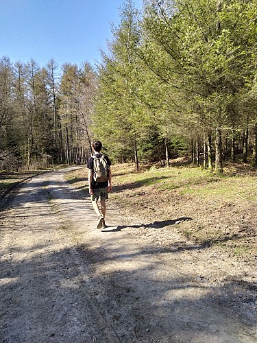 Paliseul_Grand Rôly (7)