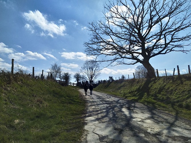 Fays les Veneurs- Pont le Prêtre (7)