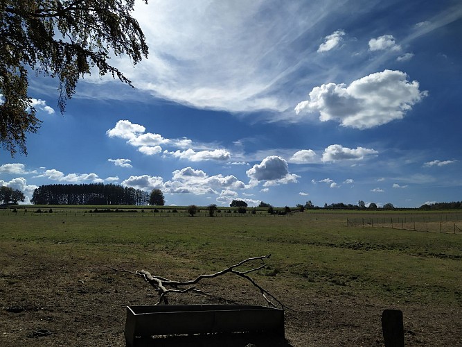 Offagne-2020-été-prom le Stoc-(AG) (9)