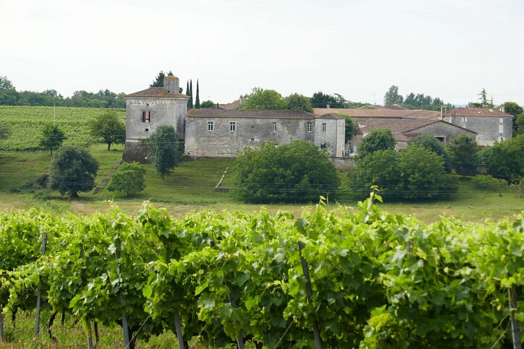 Château Maillou