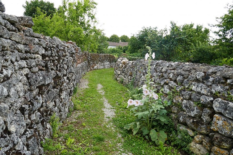 Venelles à Saint-Saturnin