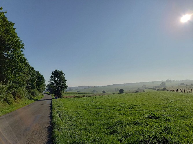 Paliseul ete22 VTTvertPA34MTBA LD (1 (21)