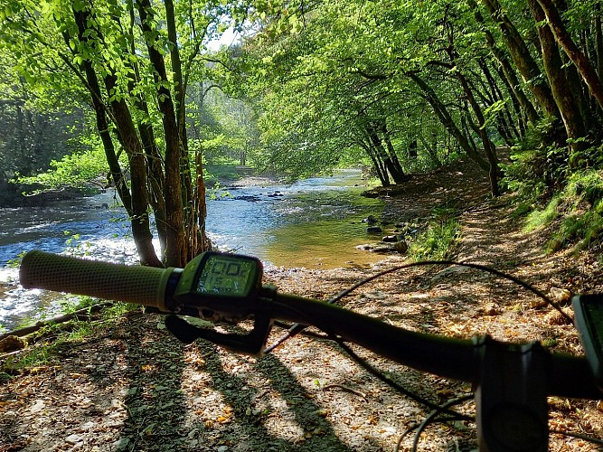 Paliseul ete22 VTTvertPA34MTBA LD (1 (16)