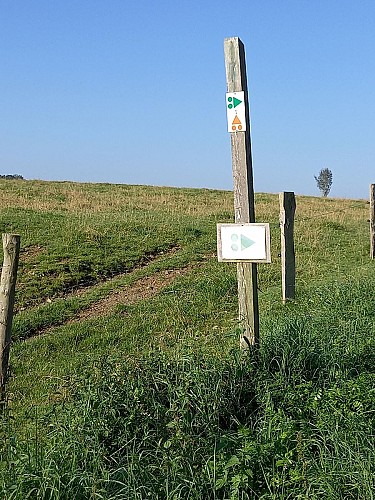 Paliseul ete22 VTTvertPA34MTBA LD (1