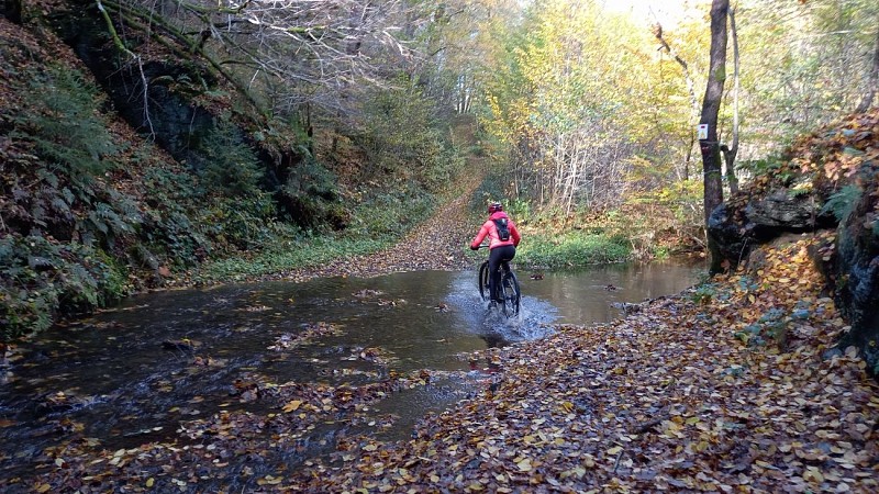 Vresse autom 21 VTTjaune Nafraiture copy MTBA JA (79)