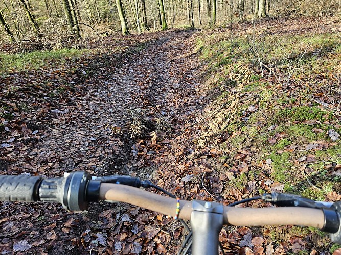 Sugny hiver 23 VTT Mont Franc AV MTBA (13)