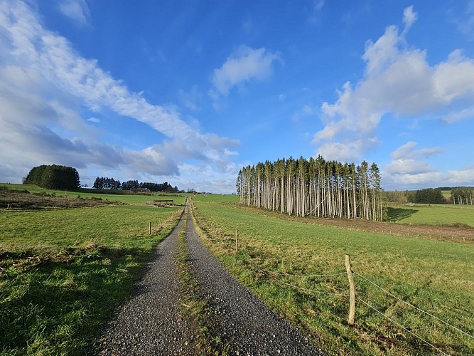 Sugny hiver 23 VTT Mont Franc AV MTBA (33)