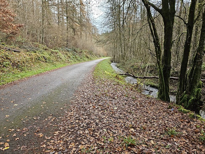 Sugny hiver 23 VTT Mont Franc AV MTBA (2)