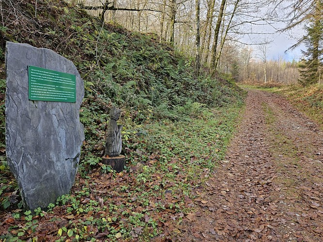 Sugny hiver 23 VTT Mont Franc AV MTBA (23)