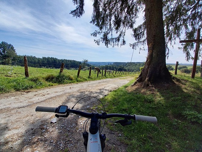 Bouillon ete 21 VTT jaune MTBA LD (1)