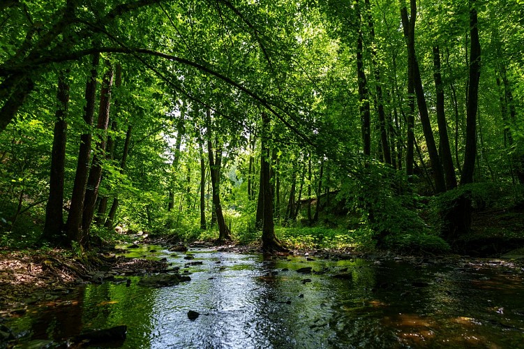 MT_PDB_GEMBES_18072022_0008