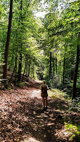 IMG_20230623_113559[1]