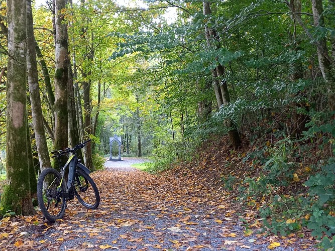 Bièvre autom22 fontai saint furcy MTBA LD (6)