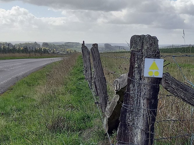 Bièvre autom22 VTT jaune 21 MTBA LD (4)