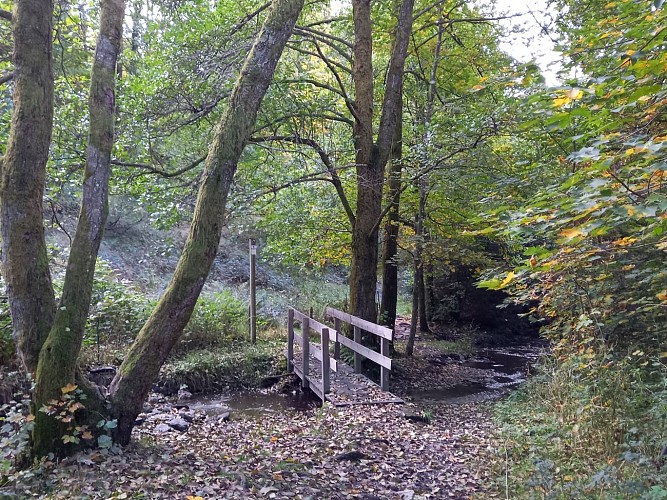 Bièvre autom22 VTT jaune 21 MTBA LD (10)