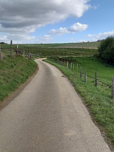 Bièvre autom22 VTT jaune 21 MTBA LD (14)