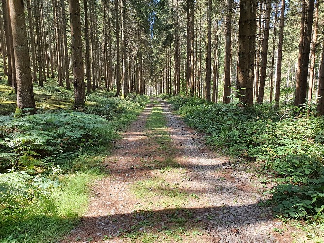 Vencimont ete 22 prom11 AV MTBA (4)