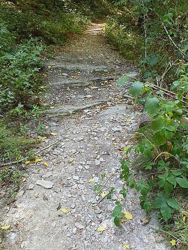 Vencimont ete 22 prom11 AV MTBA (5)