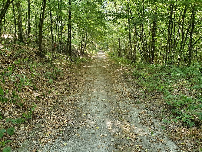 Vencimont ete 22 prom11 AV (9)