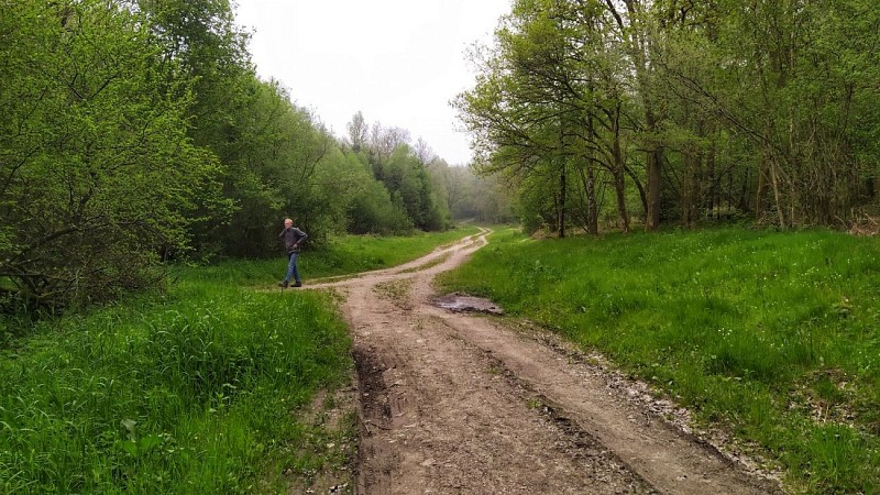 IMG_20230522_111320-01