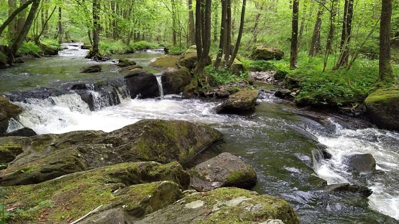 IMG_20230522_121102_1