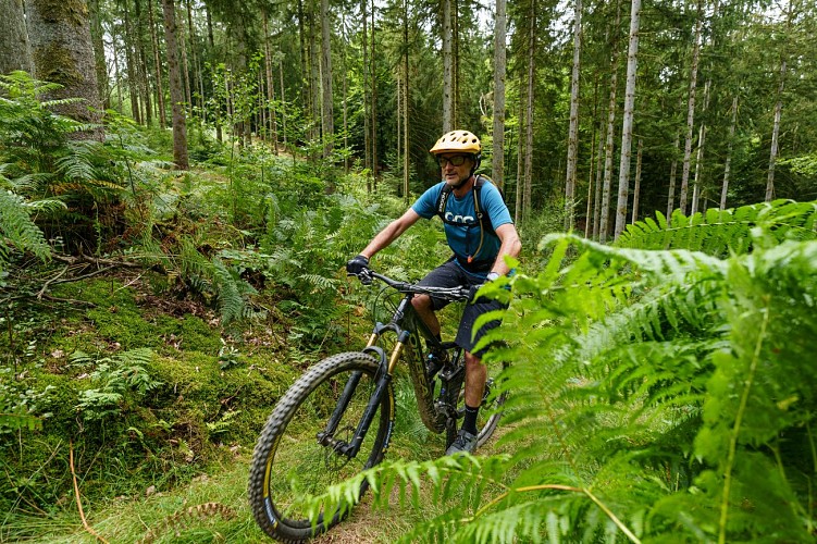 MTPDB_VTT_19082022_0070