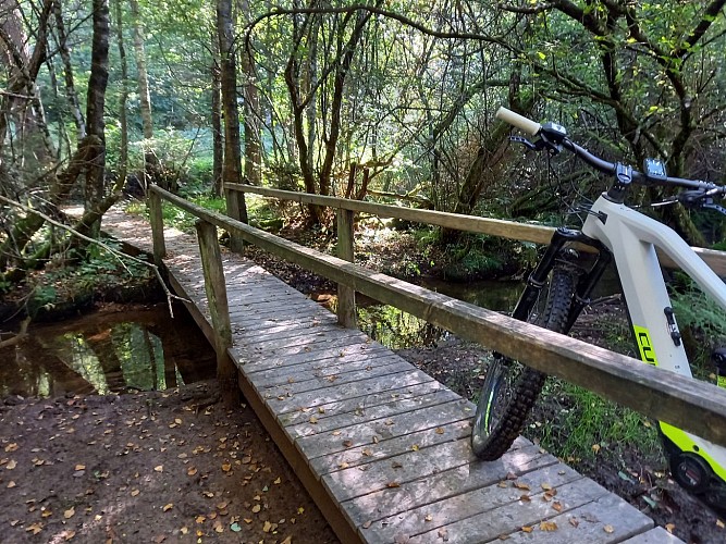 Daverdis ete22 VTTjaune2 MTBA LD (12)