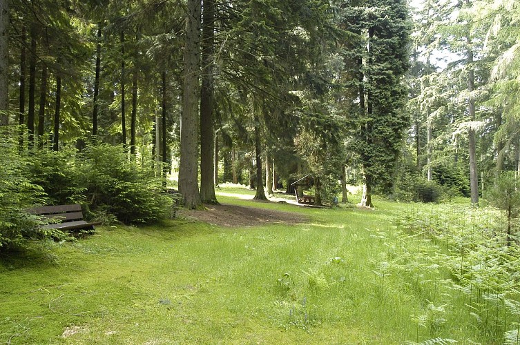 Bertrix - Arboretum (Christel François) (6)