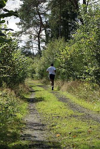 Bertrix - Ravel (GAL Bertrix) (2)