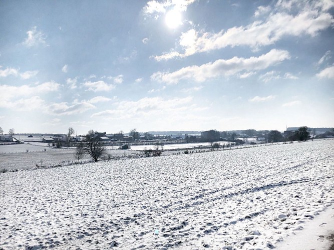 Jéhonville BX01 (2)