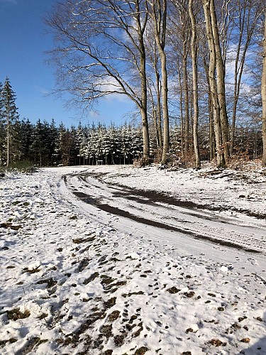 Jéhonville BX01 (3)