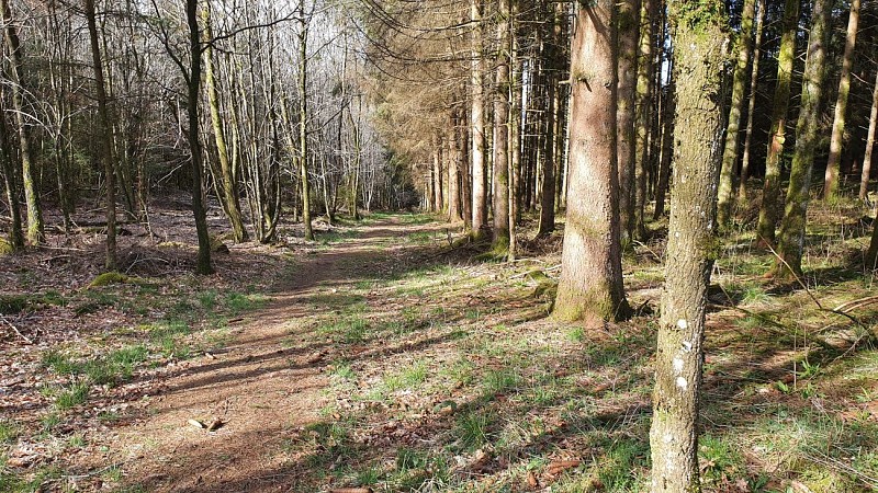 Martilly 22 printemps prom tour Martilly MTBA (6)