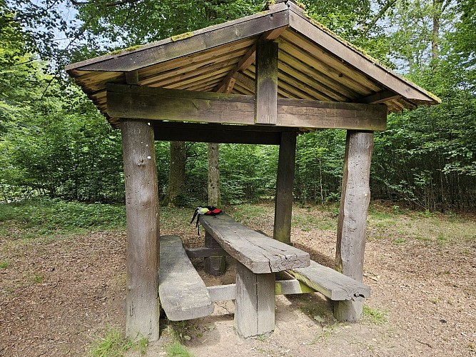 Ete 24 herbeumont prom Rocher chat pique frontire florenville AV MTBA (45)