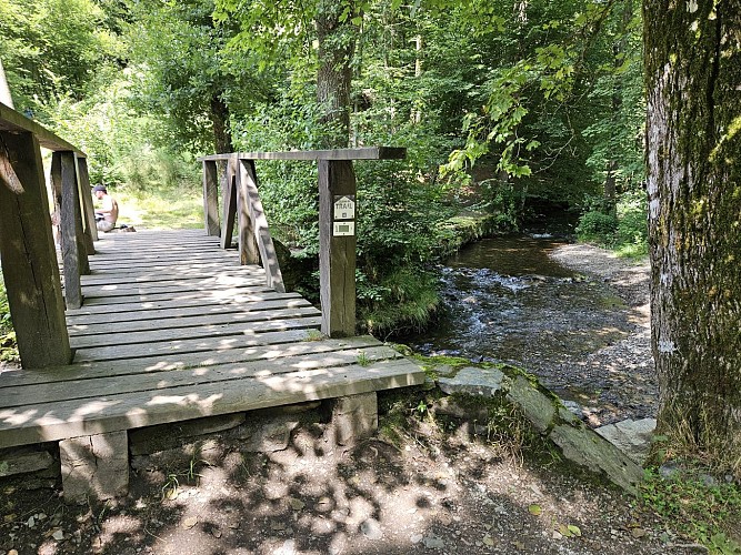 Ete 24 herbeumont pique nique embourchure Antrogne chat AV MTBA (101)