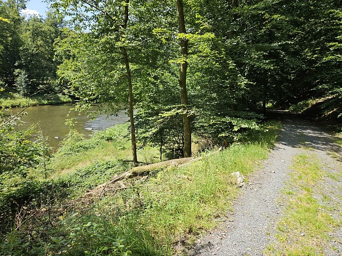 Ete 24 herbeumont prom Rocher chat AV MTBA (85)