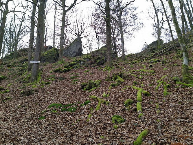 Bouillon_Frahan_Les Crêtes (11)