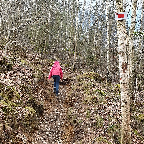 Frahan 2021 printemps prom crêtes enfant AV MTBA