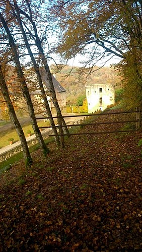 Vue chateau de peyraux 2